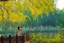 足球比分直播的app-足球迷必备！这5款足球比分直播App让你实时掌握赛场风云